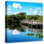 Pier Trail - Everglades National Park - Unesco World Heritage Site - Florida - USA-Philippe Hugonnard-Stretched Canvas