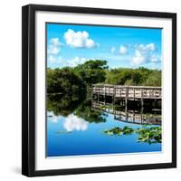 Pier Trail - Everglades National Park - Unesco World Heritage Site - Florida - USA-Philippe Hugonnard-Framed Photographic Print