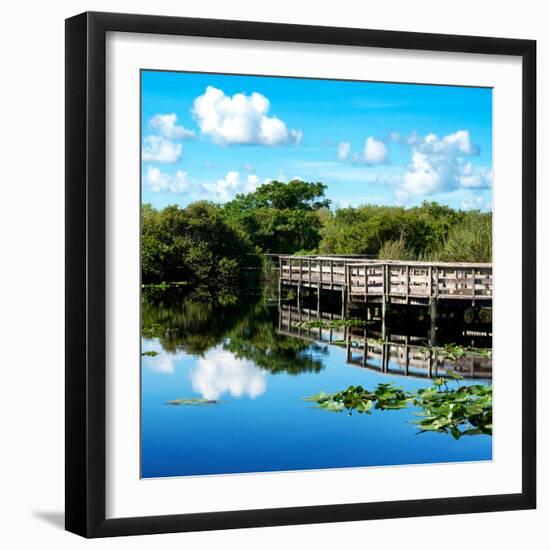 Pier Trail - Everglades National Park - Unesco World Heritage Site - Florida - USA-Philippe Hugonnard-Framed Photographic Print