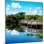 Pier Trail - Everglades National Park - Unesco World Heritage Site - Florida - USA-Philippe Hugonnard-Mounted Photographic Print