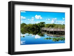 Pier Trail - Everglades National Park - Unesco World Heritage Site - Florida - USA-Philippe Hugonnard-Framed Premium Photographic Print