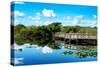 Pier Trail - Everglades National Park - Unesco World Heritage Site - Florida - USA-Philippe Hugonnard-Stretched Canvas