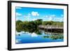 Pier Trail - Everglades National Park - Unesco World Heritage Site - Florida - USA-Philippe Hugonnard-Framed Photographic Print