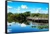 Pier Trail - Everglades National Park - Unesco World Heritage Site - Florida - USA-Philippe Hugonnard-Framed Stretched Canvas