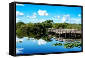 Pier Trail - Everglades National Park - Unesco World Heritage Site - Florida - USA-Philippe Hugonnard-Framed Stretched Canvas