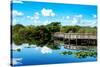 Pier Trail - Everglades National Park - Unesco World Heritage Site - Florida - USA-Philippe Hugonnard-Stretched Canvas