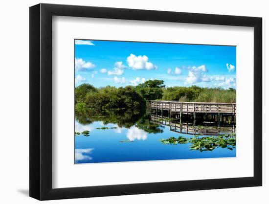 Pier Trail - Everglades National Park - Unesco World Heritage Site - Florida - USA-Philippe Hugonnard-Framed Photographic Print