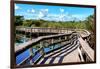 Pier Trail - Everglades National Park - Unesco World Heritage Site - Florida - USA-Philippe Hugonnard-Framed Photographic Print