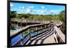 Pier Trail - Everglades National Park - Unesco World Heritage Site - Florida - USA-Philippe Hugonnard-Framed Photographic Print