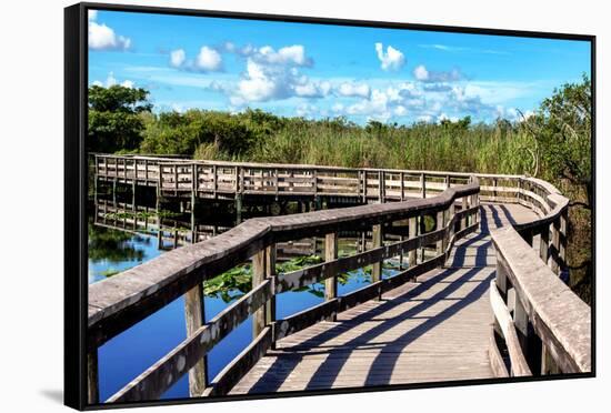 Pier Trail - Everglades National Park - Unesco World Heritage Site - Florida - USA-Philippe Hugonnard-Framed Stretched Canvas