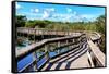 Pier Trail - Everglades National Park - Unesco World Heritage Site - Florida - USA-Philippe Hugonnard-Framed Stretched Canvas