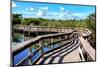 Pier Trail - Everglades National Park - Unesco World Heritage Site - Florida - USA-Philippe Hugonnard-Mounted Photographic Print