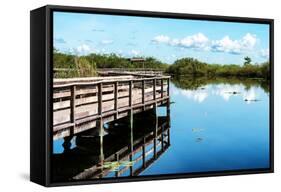 Pier Trail - Everglades National Park - Unesco World Heritage Site - Florida - USA-Philippe Hugonnard-Framed Stretched Canvas