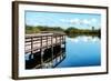 Pier Trail - Everglades National Park - Unesco World Heritage Site - Florida - USA-Philippe Hugonnard-Framed Photographic Print