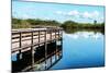 Pier Trail - Everglades National Park - Unesco World Heritage Site - Florida - USA-Philippe Hugonnard-Mounted Photographic Print