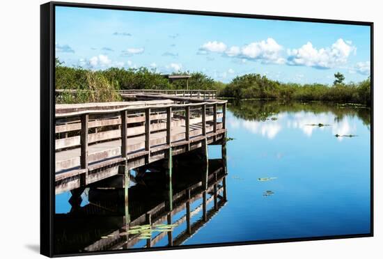 Pier Trail - Everglades National Park - Unesco World Heritage Site - Florida - USA-Philippe Hugonnard-Framed Stretched Canvas