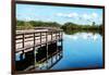 Pier Trail - Everglades National Park - Unesco World Heritage Site - Florida - USA-Philippe Hugonnard-Framed Photographic Print