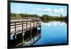 Pier Trail - Everglades National Park - Unesco World Heritage Site - Florida - USA-Philippe Hugonnard-Framed Photographic Print