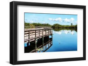 Pier Trail - Everglades National Park - Unesco World Heritage Site - Florida - USA-Philippe Hugonnard-Framed Photographic Print