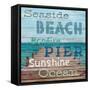 Pier View Weathered Wood Sign-Sam Appleman-Framed Stretched Canvas