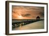 Pier with Palapa at Sunrise, Ambergris Caye, Belize-null-Framed Photographic Print