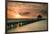 Pier with Palapa at Sunrise, Ambergris Caye, Belize-null-Framed Photographic Print