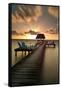 Pier with Palapa on Caribbean Sea at Sunrise, Caye Caulker Pier, Belize-null-Framed Stretched Canvas