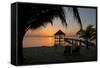 Pier with Palapa on Caribbean Sea at Sunrise, Maya Beach, Stann Creek District, Belize-null-Framed Stretched Canvas