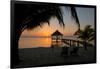 Pier with Palapa on Caribbean Sea at Sunrise, Maya Beach, Stann Creek District, Belize-null-Framed Photographic Print