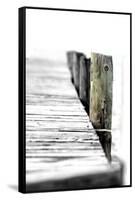 Pier-Karen Williams-Framed Stretched Canvas