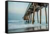 Pier-Bill Carson Photography-Framed Stretched Canvas