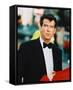 Pierce Brosnan-null-Framed Stretched Canvas