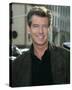 Pierce Brosnan-null-Stretched Canvas