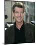 Pierce Brosnan-null-Mounted Photo