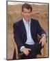 Pierce Brosnan-null-Mounted Photo