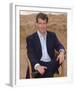 Pierce Brosnan-null-Framed Photo