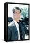 Pierce Brosnan-null-Framed Stretched Canvas