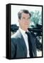 Pierce Brosnan-null-Framed Stretched Canvas