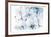 Piercing Beauty 2-Marcus Prime-Framed Art Print