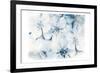 Piercing Beauty 2-Marcus Prime-Framed Art Print