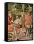 Piero de Medici-Benozzo di Lese di Sandro Gozzoli-Framed Stretched Canvas