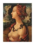 Rittrato di Simonetta Vespucci-Piero di Cosimo-Stretched Canvas