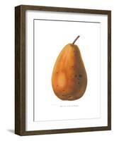 Pierpont on White-Wild Apple Portfolio-Framed Art Print