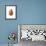 Pierpont on White-Wild Apple Portfolio-Framed Art Print displayed on a wall