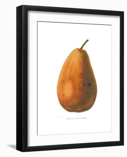 Pierpont on White-Wild Apple Portfolio-Framed Art Print