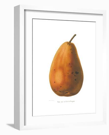 Pierpont on White-Wild Apple Portfolio-Framed Art Print