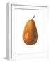 Pierpont on White-Wild Apple Portfolio-Framed Art Print