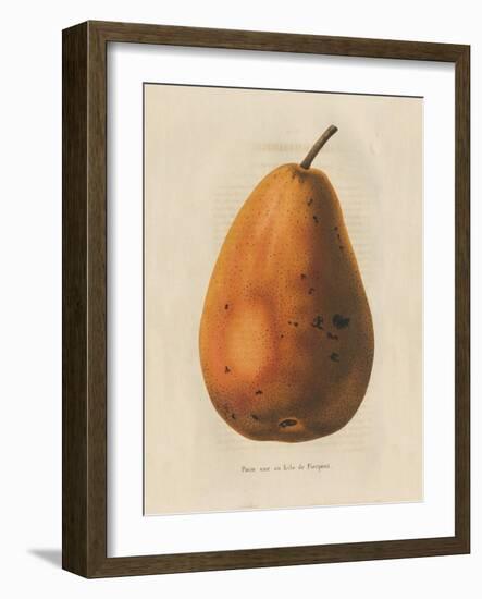 Pierpont v2-Wild Apple Portfolio-Framed Art Print