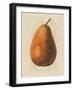 Pierpont v2-Wild Apple Portfolio-Framed Art Print