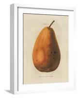 Pierpont v2-Wild Apple Portfolio-Framed Art Print